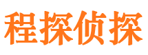 金湖侦探社